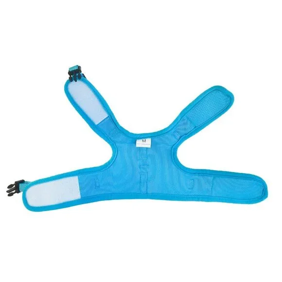 Cat Harness Vest w/ Leash Double Strap Blue Medium Large Extra Large Sizes Avail - Picture 4 of 8